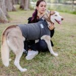 Pet Comfort Vest