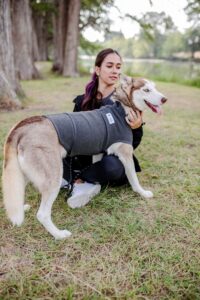 Pet Comfort Vest