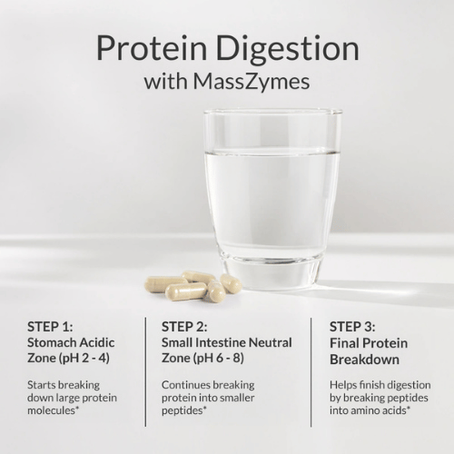 MassZymes