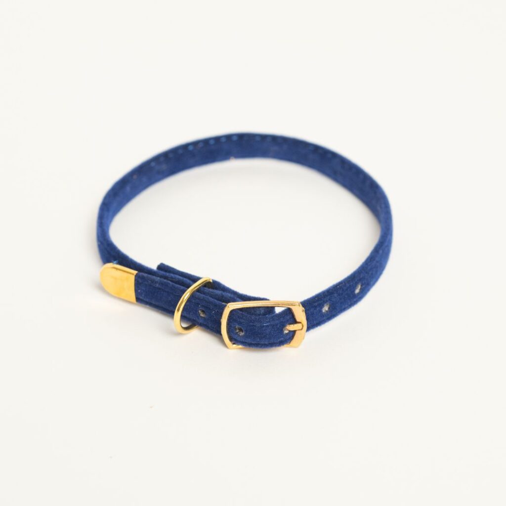Leela Quantum Cat Collar