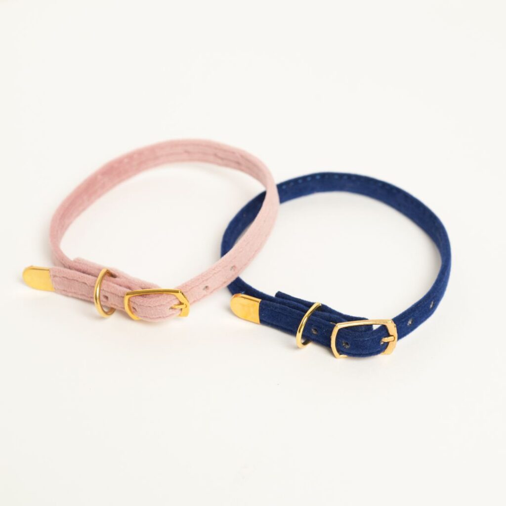 Leela Quantum Cat Collar