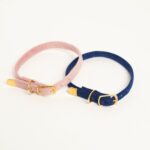 Leela Quantum Cat Collar