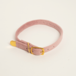 Leela Quantum Cat Collar
