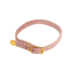 Leela Quantum Cat Collar