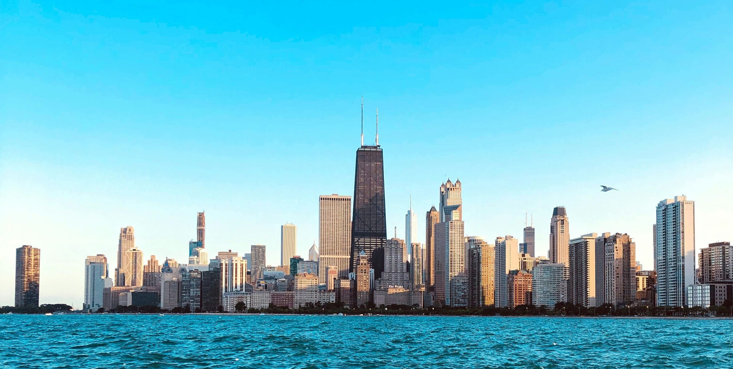 10 Best Biohacking Fitness Equipment in 2026