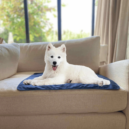 Pet Grounding Mat