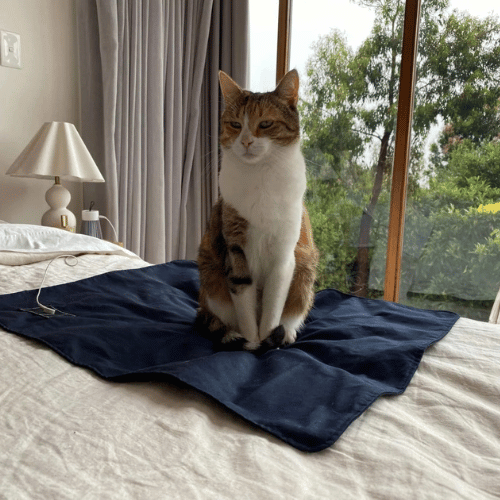 Pet Grounding Mat