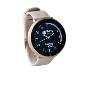 WAVwatch 2.2