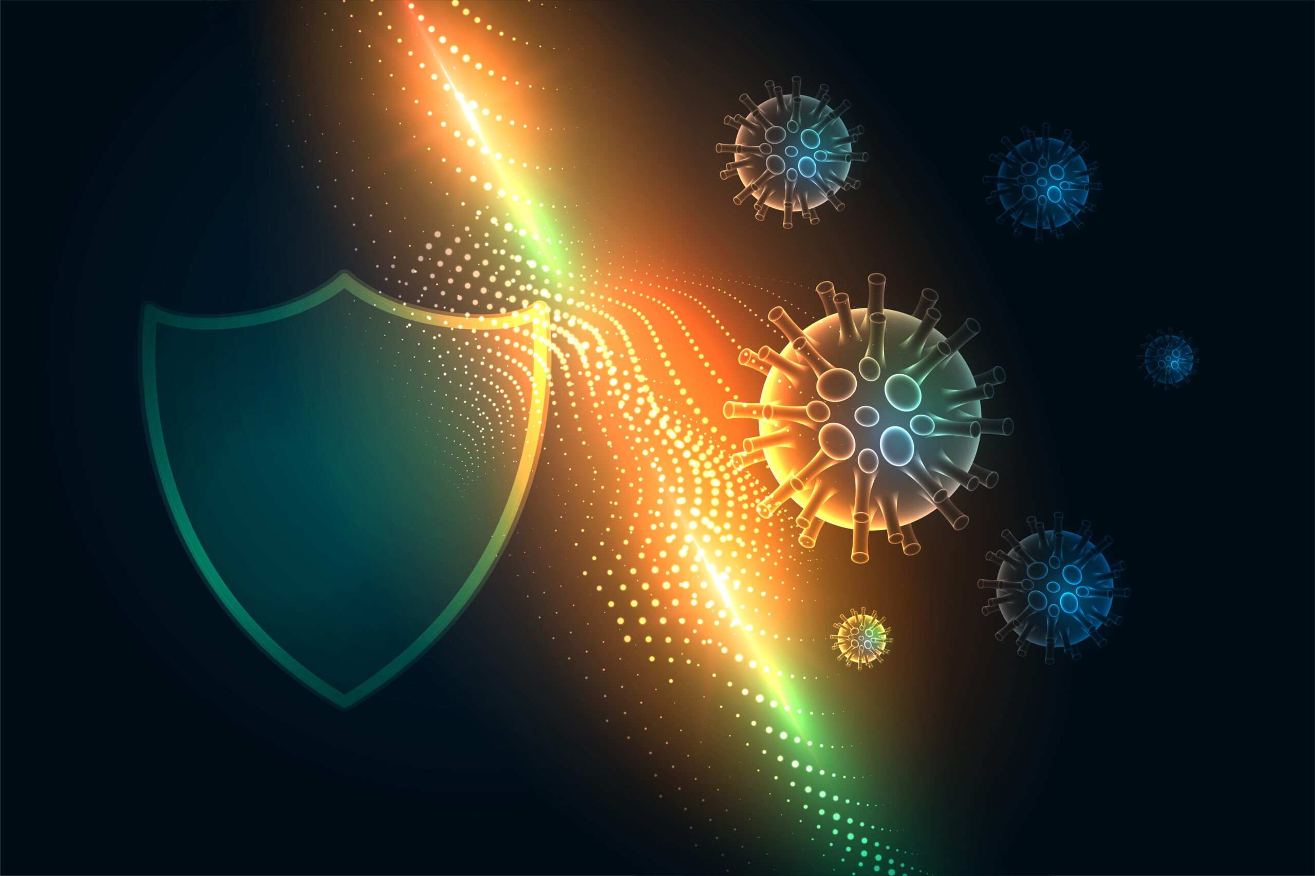 How to Raise Your Immune System