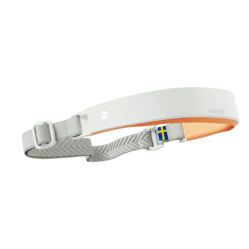 The Mendi Headset