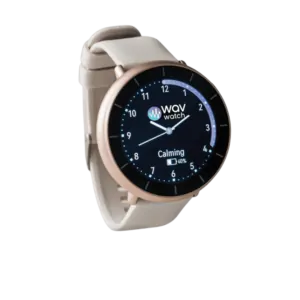 WAVwatch 2.2